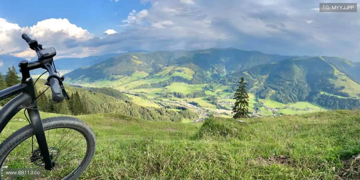 运动不止,装备先行!👟🔧 体育周边,细节决定胜负!